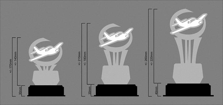 Tall Trophy Sizes